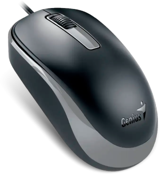 Мышь Проводная Genius DX-125S Black+Grey